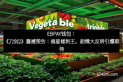 EBPAY钱包：《刀剑2》震撼预告：摘星楼刺王，剧情大反转引爆期待